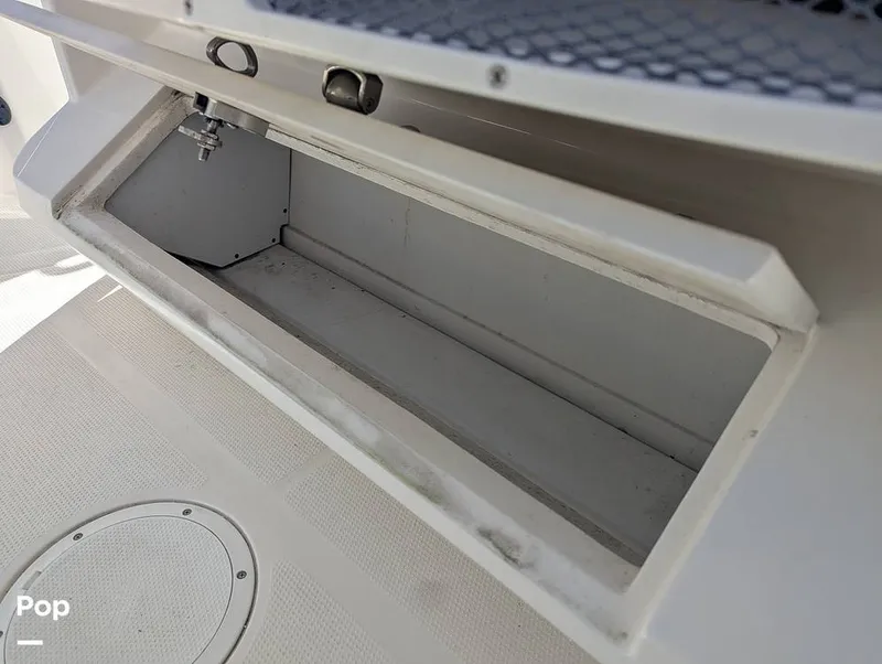 Slide: The Image of Sailfish 242 CC 2024 - 16204302