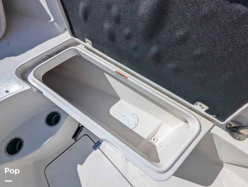 Slide: The Image of Sailfish 242 CC 2024 - 16204311