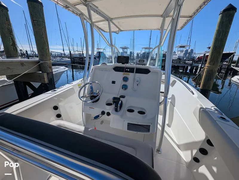 Slide: The Image of Sailfish 242 CC 2024 - 16202259