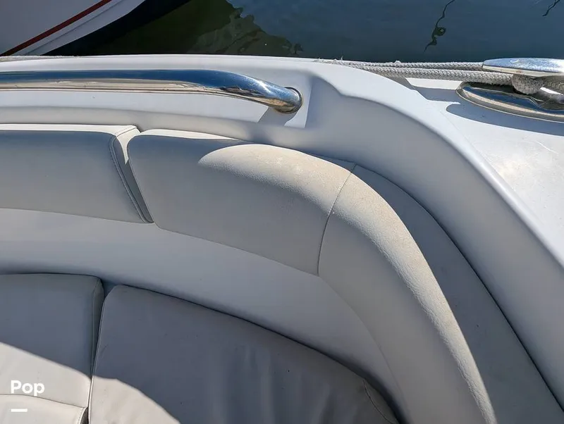 Slide: The Image of Sailfish 242 CC 2024 - 16204315