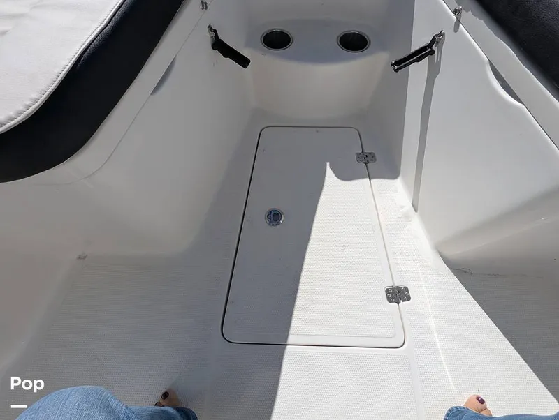 Slide: The Image of Sailfish 242 CC 2024 - 16204316