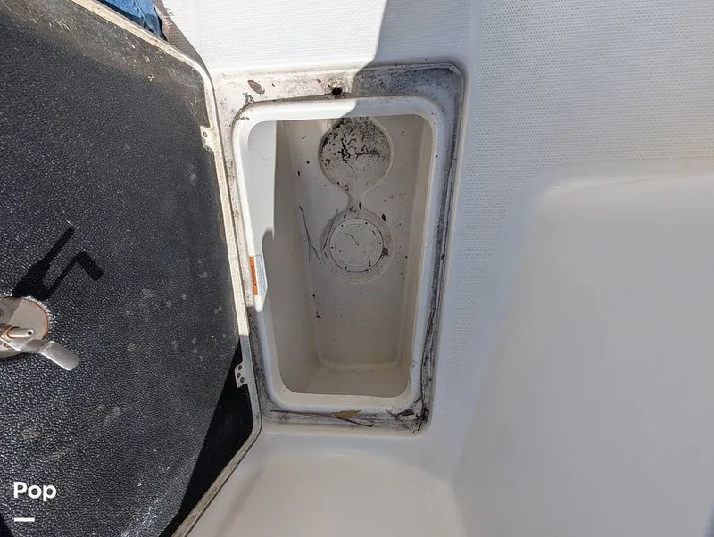 Slide: The Image of Sailfish 242 CC 2024 - 16204317