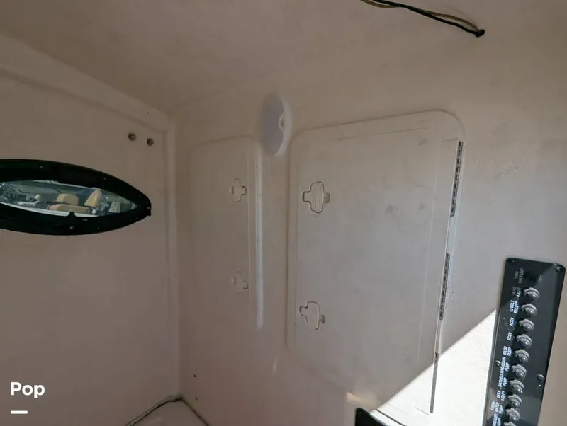 Slide: The Image of Sailfish 242 CC 2024 - 16204321