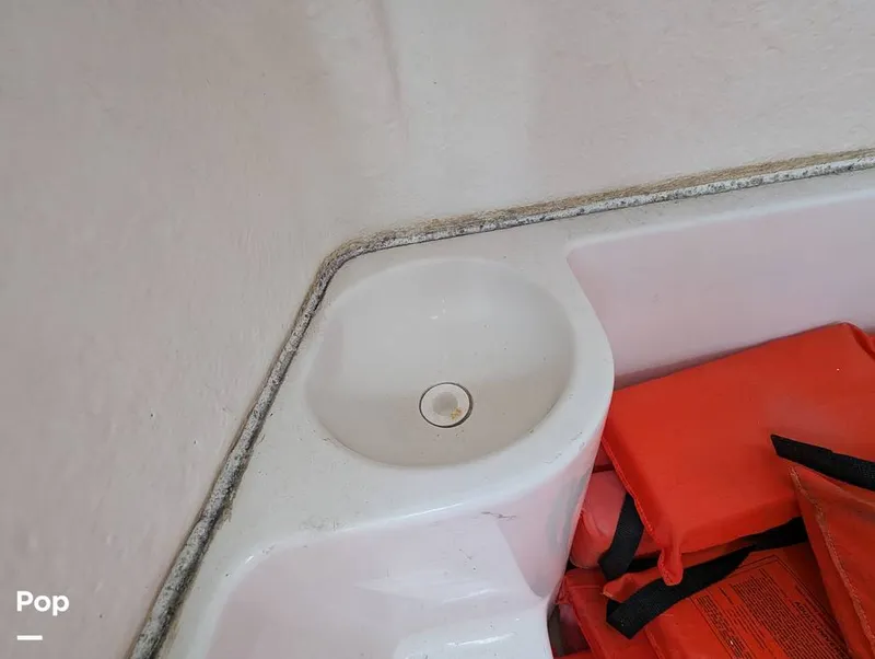 Slide: The Image of Sailfish 242 CC 2024 - 16204323