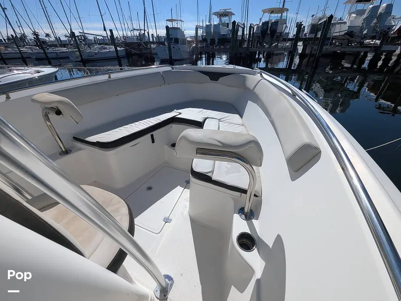 Slide: The Image of Sailfish 242 CC 2024 - 16202261