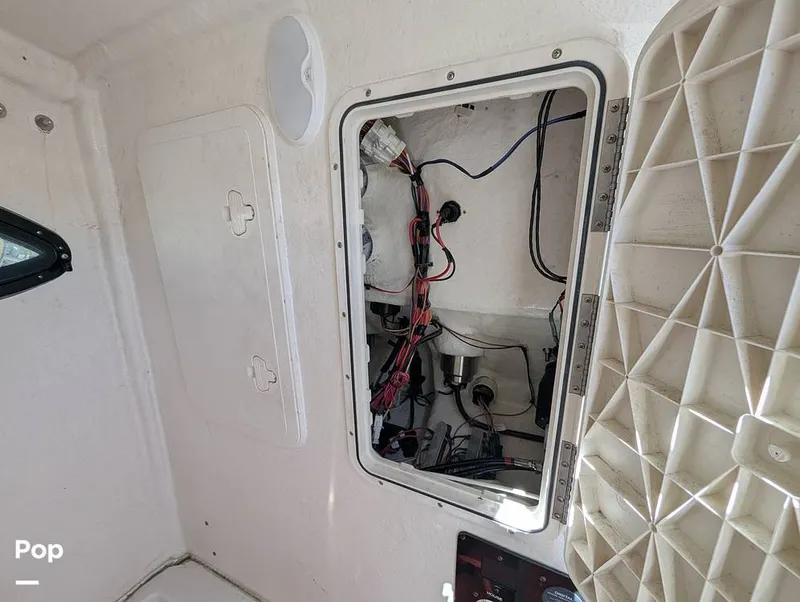 Slide: The Image of Sailfish 242 CC 2024 - 16204326