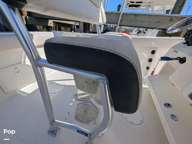 Slide: The Image of Sailfish 242 CC 2024 - 16204328