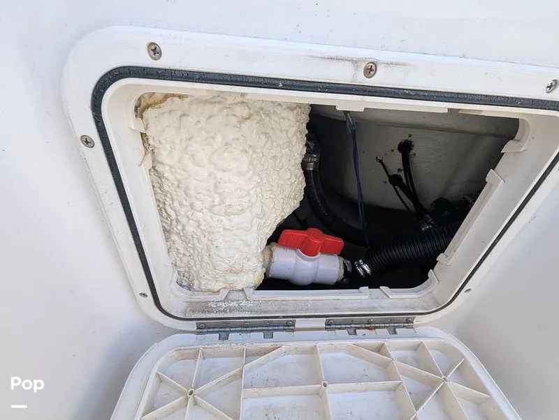 Slide: The Image of Sailfish 242 CC 2024 - 16204331