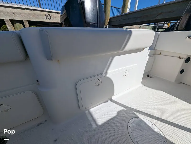 Slide: The Image of Sailfish 242 CC 2024 - 16204332