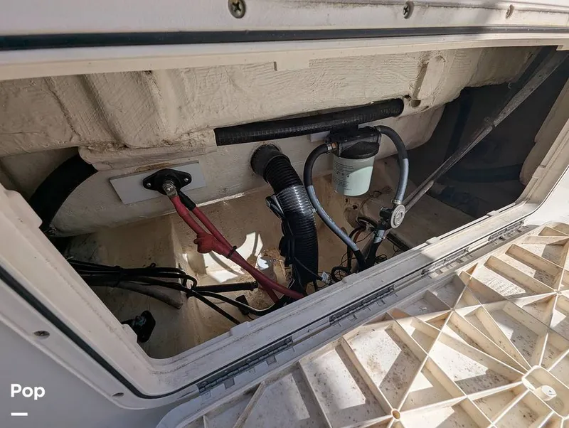 Slide: The Image of Sailfish 242 CC 2024 - 16204333