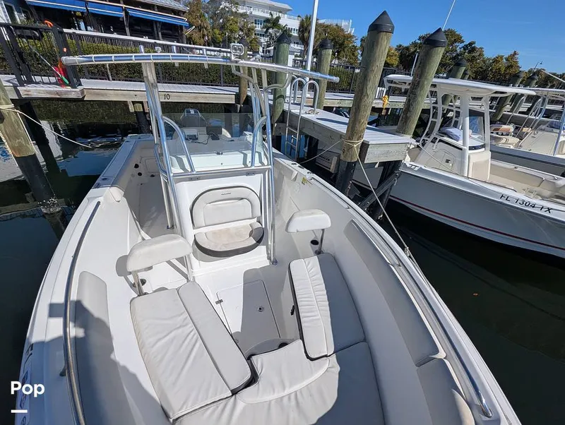 Slide: The Image of Sailfish 242 CC 2024 - 16202262