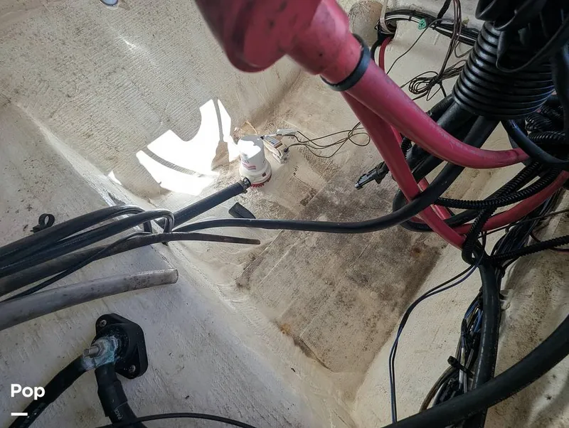 Slide: The Image of Sailfish 242 CC 2024 - 16204334