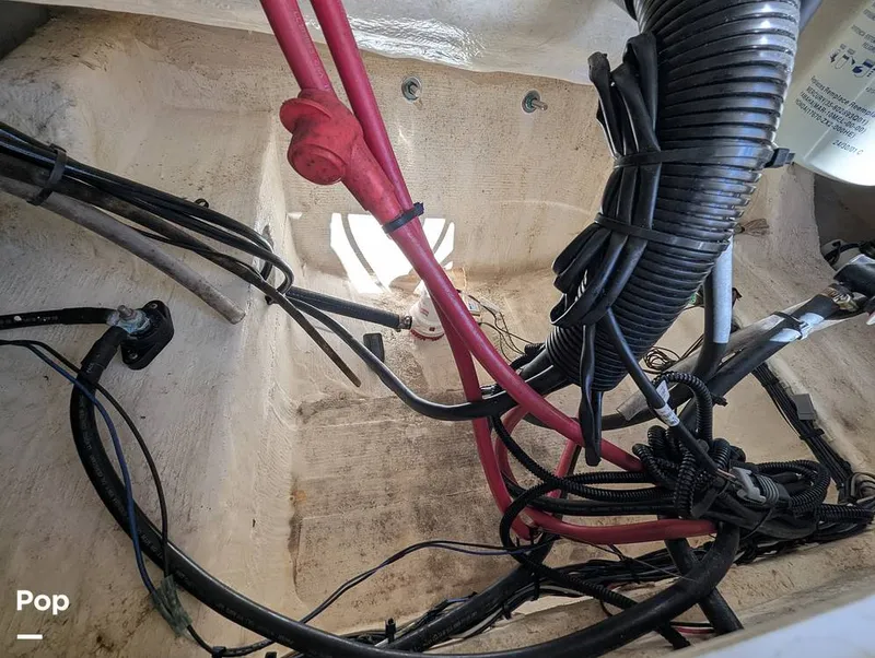 Slide: The Image of Sailfish 242 CC 2024 - 16204335