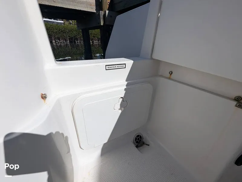 Slide: The Image of Sailfish 242 CC 2024 - 16204337