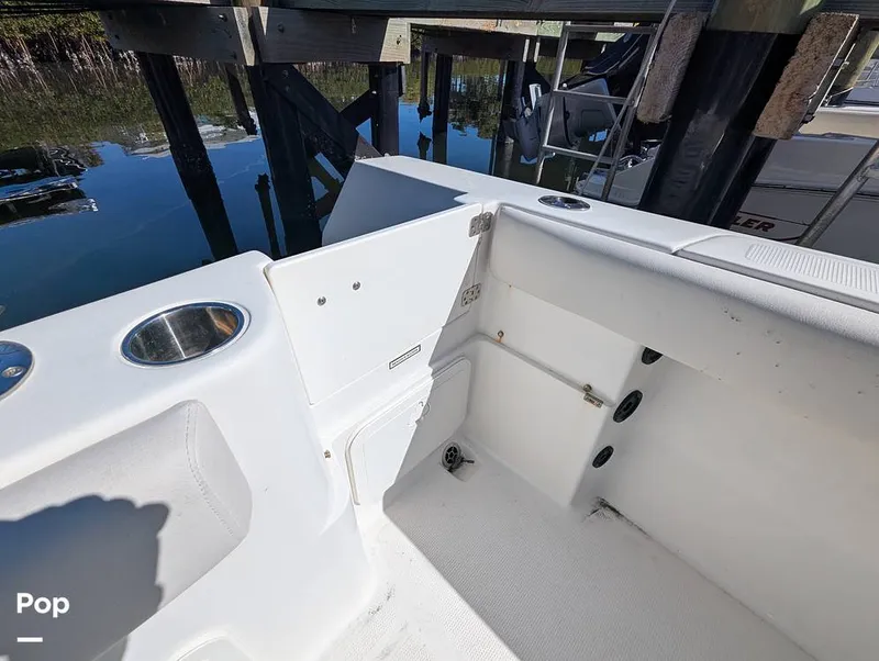 Slide: The Image of Sailfish 242 CC 2024 - 16204339