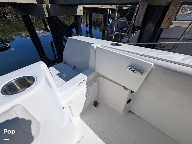 Slide: The Image of Sailfish 242 CC 2024 - 16204340