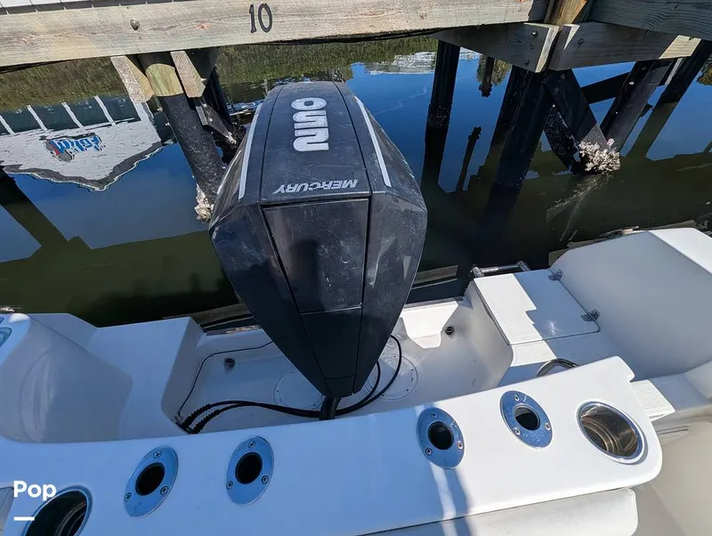 Slide: The Image of Sailfish 242 CC 2024 - 16204341