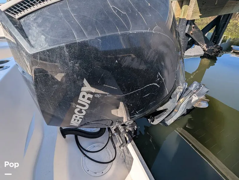 Slide: The Image of Sailfish 242 CC 2024 - 16204345