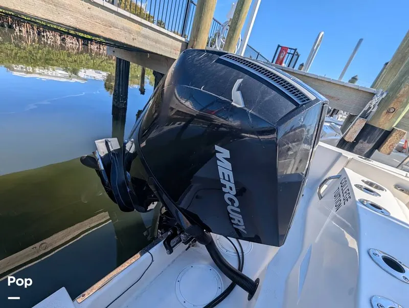 Slide: The Image of Sailfish 242 CC 2024 - 16204346