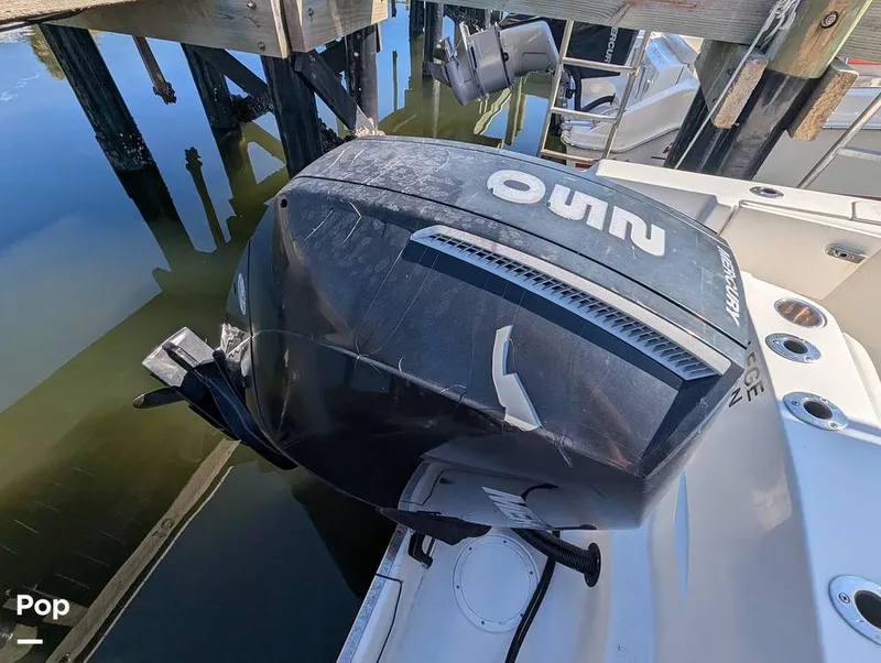 Slide: The Image of Sailfish 242 CC 2024 - 16204347