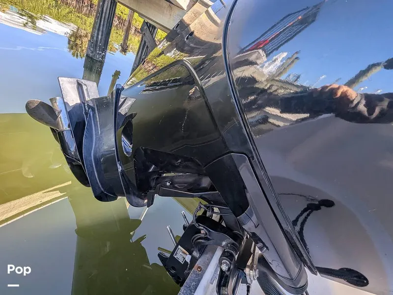 Slide: The Image of Sailfish 242 CC 2024 - 16204348