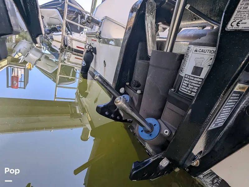 Slide: The Image of Sailfish 242 CC 2024 - 16204349