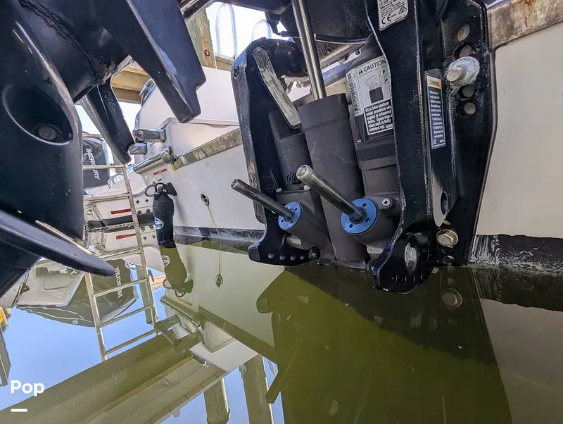 Slide: The Image of Sailfish 242 CC 2024 - 16204350