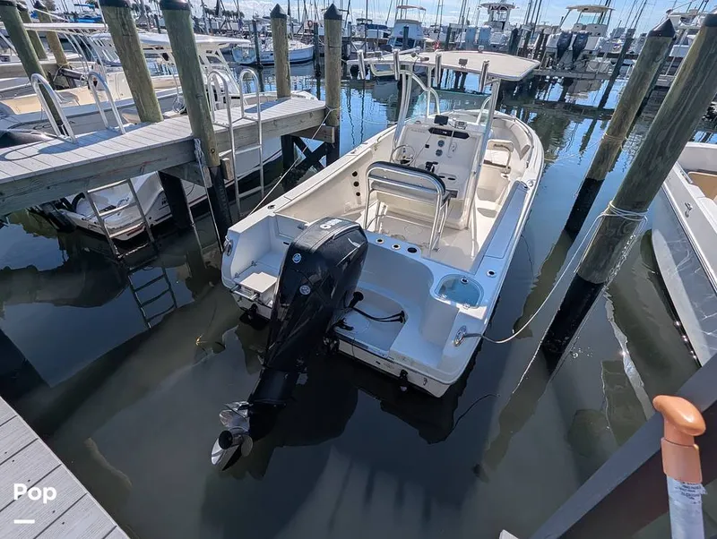 Slide: The Image of Sailfish 242 CC 2024 - 16204351