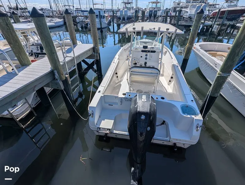 Slide: The Image of Sailfish 242 CC 2024 - 16204352