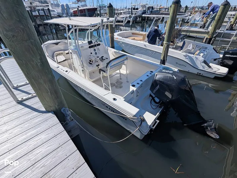 Slide: The Image of Sailfish 242 CC 2024 - 16204353