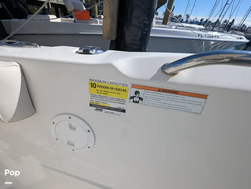 Slide: The Image of Sailfish 242 CC 2024 - 16202264