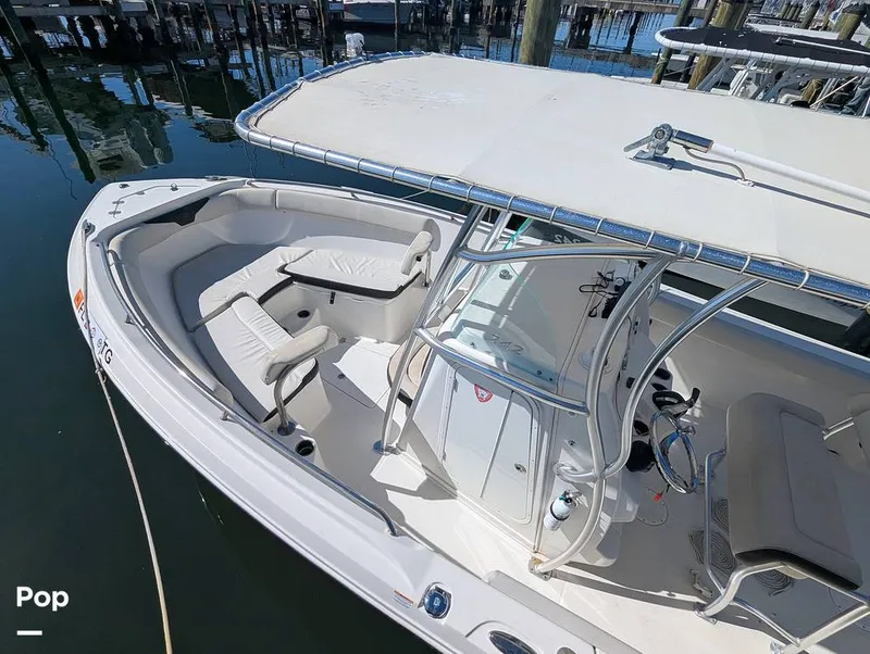 Slide: The Image of Sailfish 242 CC 2024 - 16204354