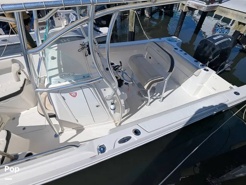 Slide: The Image of Sailfish 242 CC 2024 - 16204356