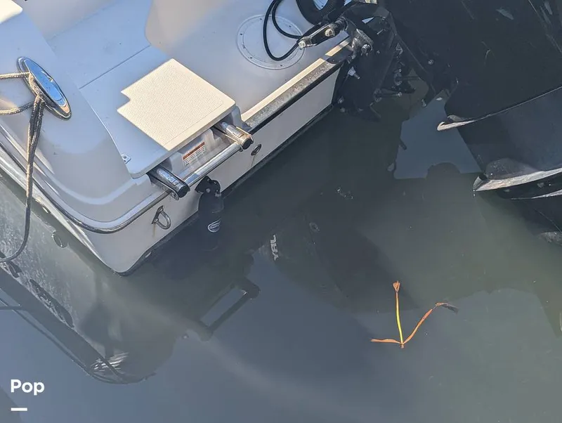 Slide: The Image of Sailfish 242 CC 2024 - 16204361