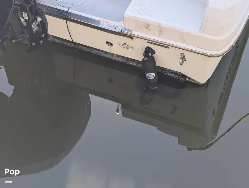 Slide: The Image of Sailfish 242 CC 2024 - 16204363