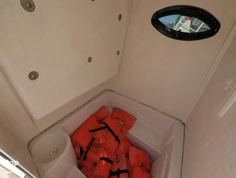 Slide: The Image of Sailfish 242 CC 2024 - 16202265