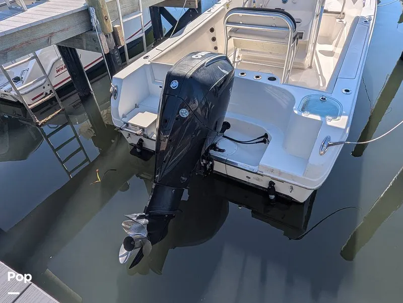 Slide: The Image of Sailfish 242 CC 2024 - 16204364