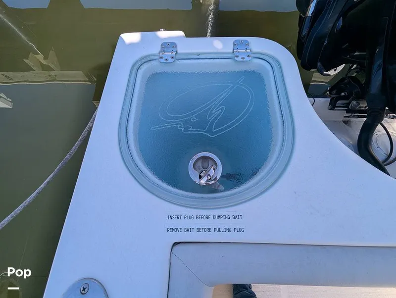 Slide: The Image of Sailfish 242 CC 2024 - 16204365