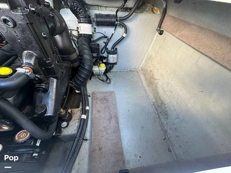 Slide: The Image of Stingray 198LX 2015 - 15860260