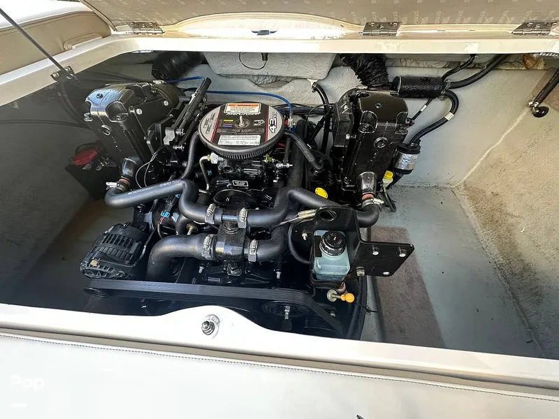 Slide: The Image of Stingray 198LX 2015 - 15860261