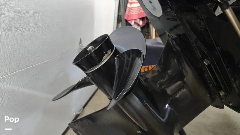 Slide: The Image of Monterey 218SS 2018 - 15898327