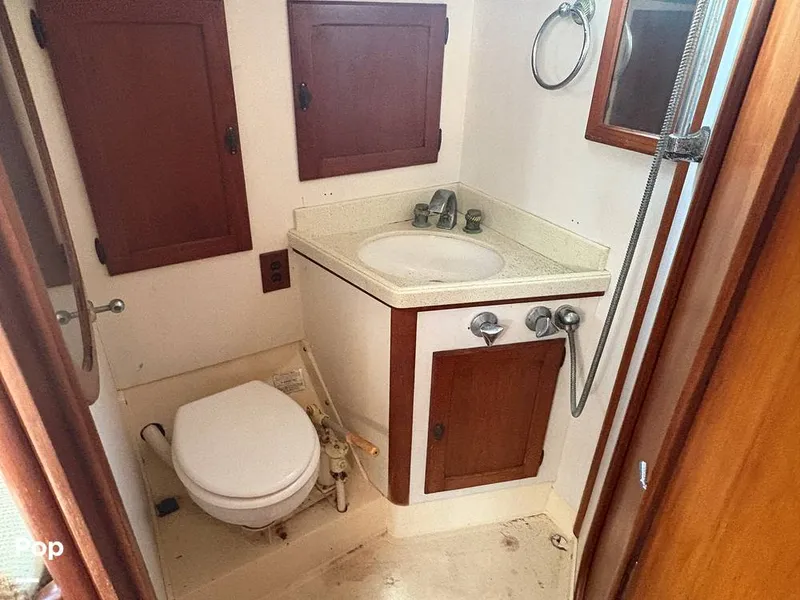 Slide: The Image of Head - 15844678