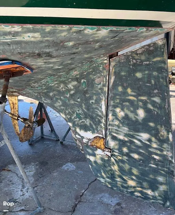 Slide: The Image of Bristol 41.1 CC 1984 - 16270904