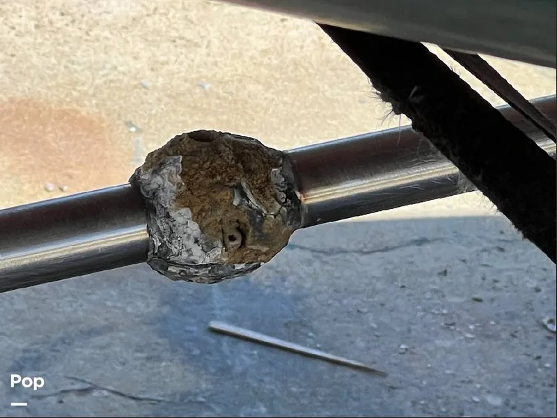 Slide: The Image of Bristol 41.1 CC 1984 - 16270920