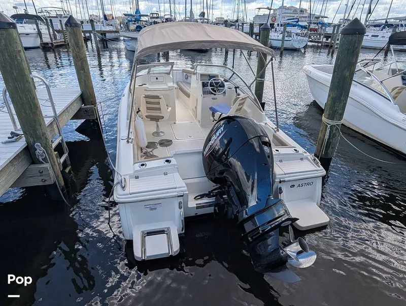 Slide: The Image of Scout 210 Dorado 2023 - 15925448