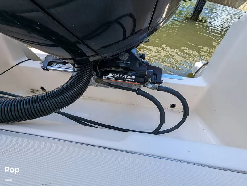 Slide: The Image of Scout 210 Dorado 2023 - 15925478