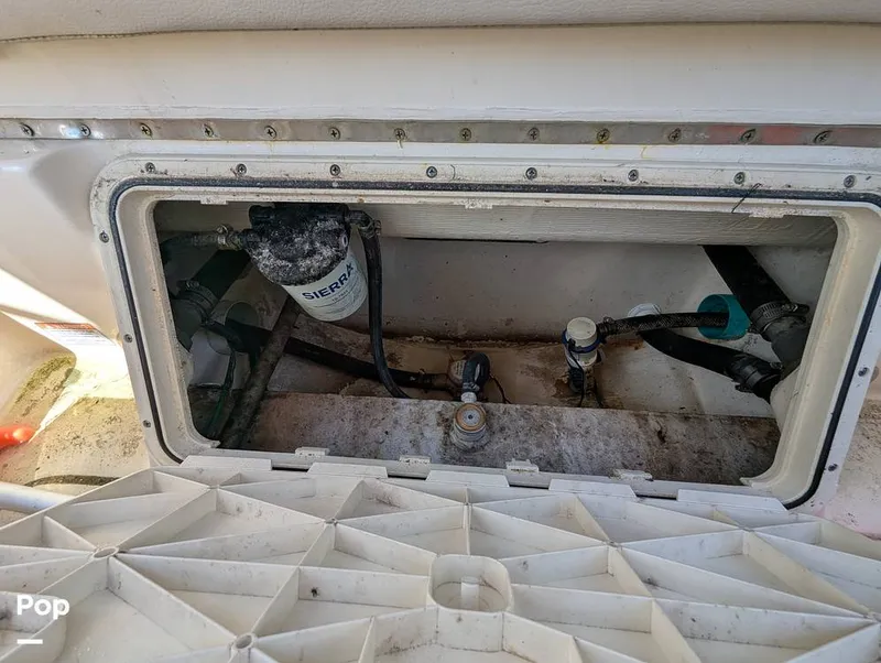 Slide: The Image of Scout 210 Dorado 2023 - 15925480