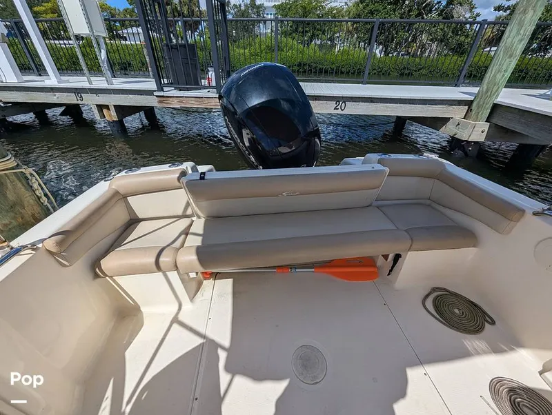 Slide: The Image of Scout 210 Dorado 2023 - 15925481