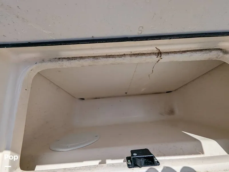 Slide: The Image of Scout 210 Dorado 2023 - 15925489