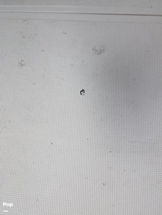 Slide: The Image of Scout 210 Dorado 2023 - 15925493